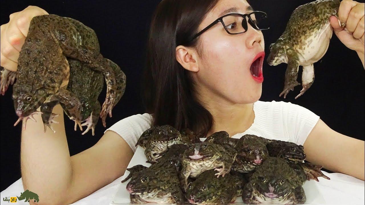 قهرمان بلعیدن قورباغه زنده؛ داستان عجیب و ترسناک مردی که ۳۶ قورباغه زنده را قورت داد قهرمان بلعیدن قورباغه زنده؛ داستان عجیب و ترسناک مردی که ۳۶ قورباغه زنده را قورت داد