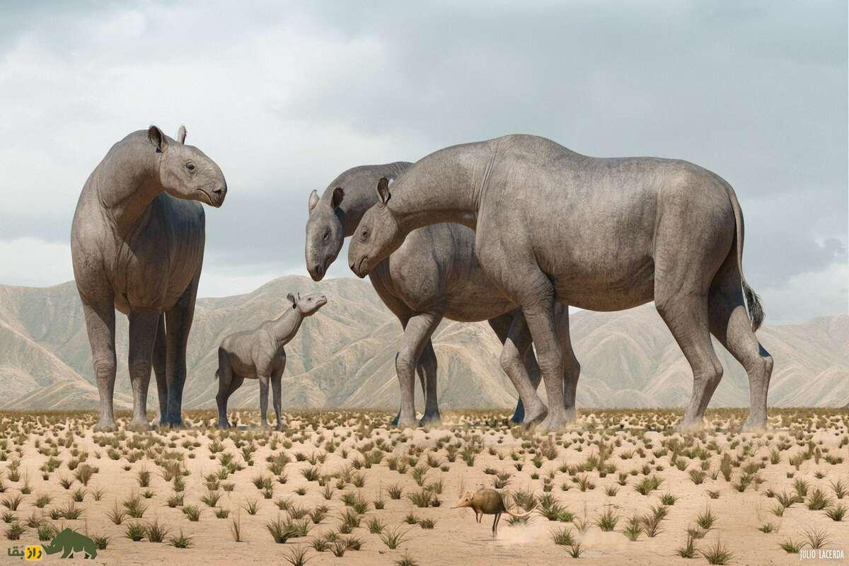 بَلوچیدَد؛ غول افسانهای آسیایی که بزرگترین پستاندار خشکیزی تاریخ لقب گرفته است بَلوچیدَد؛ غول افسانهای آسیایی که بزرگترین پستاندار خشکیزی تاریخ لقب گرفته است