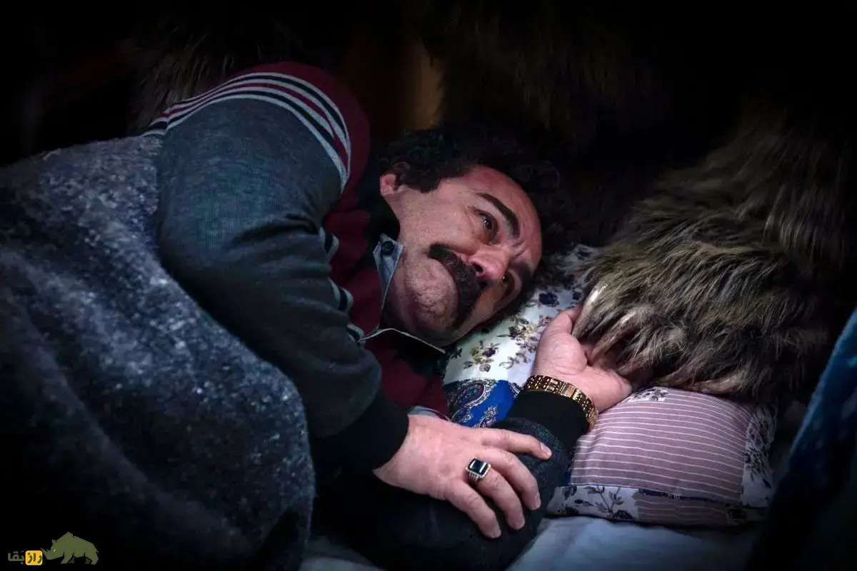 انواع نژاد خرس در ایران؛ خرس سریال پایتخت از چه نژادیست و چند کیلو وزن دارد؟