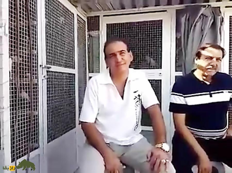 حاج علی محسنی معروف به علی شرمن