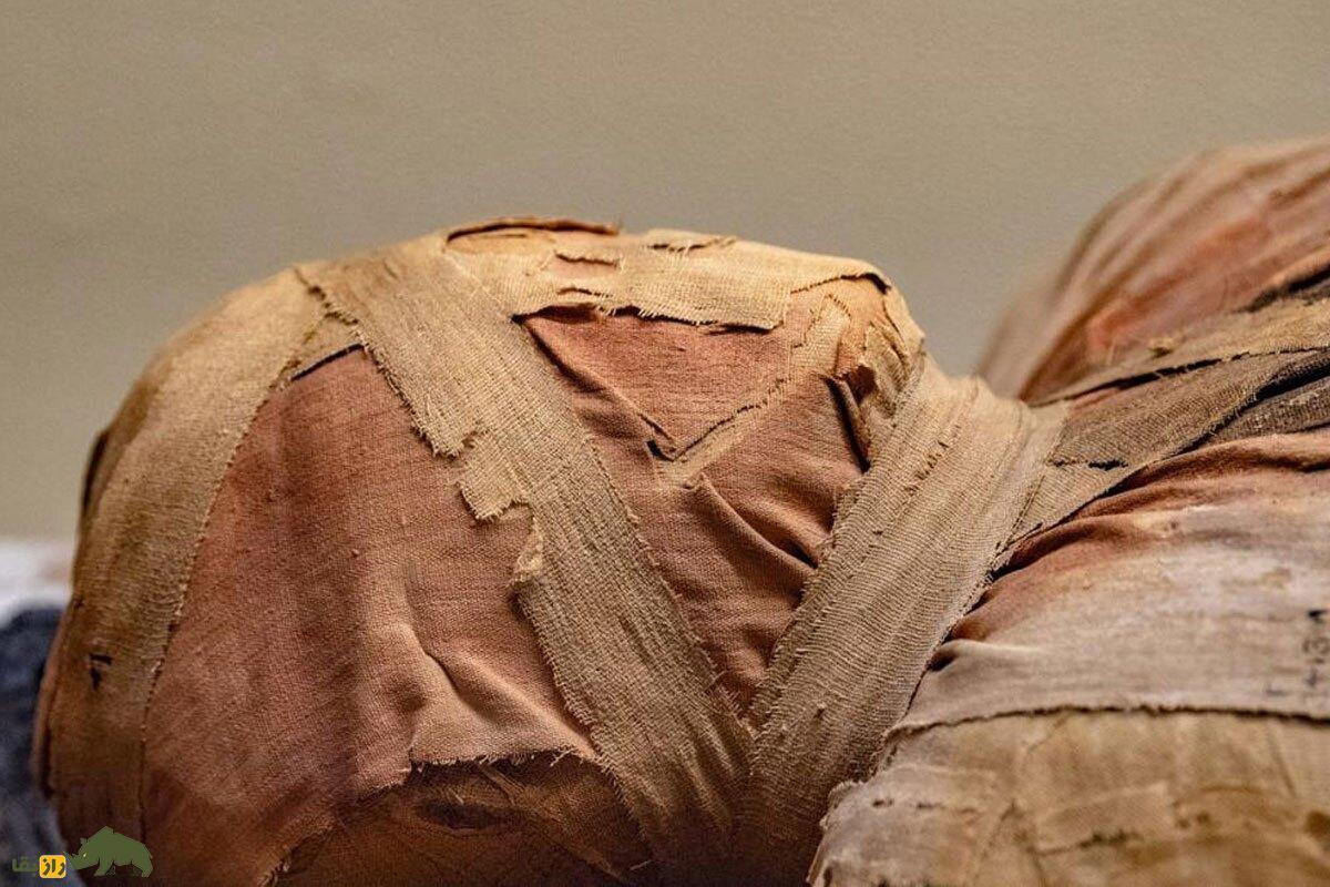 معمای «باشیری»؛ مرموزترین مومیایی مصر که هنوز باز نشده و هیچ کس جرات دیدن آن را ندارد!