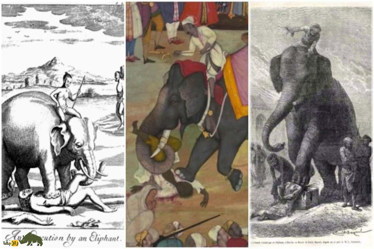 اعدام با فیل؛ یکی از وحشتناکترین روشهای مجازات در تاریخ اعدام با فیل؛ یکی از وحشتناکترین روشهای مجازات در تاریخ