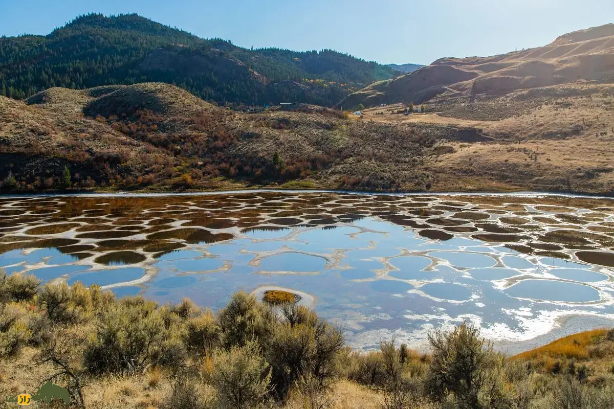 دریاچه خال‌دار کانادا؛ شگفتی رنگارنگ و لزج طبیعت با حوضچه‌های آبی، سبز و زرد که شبیه سفیده تخم‌مرغ است