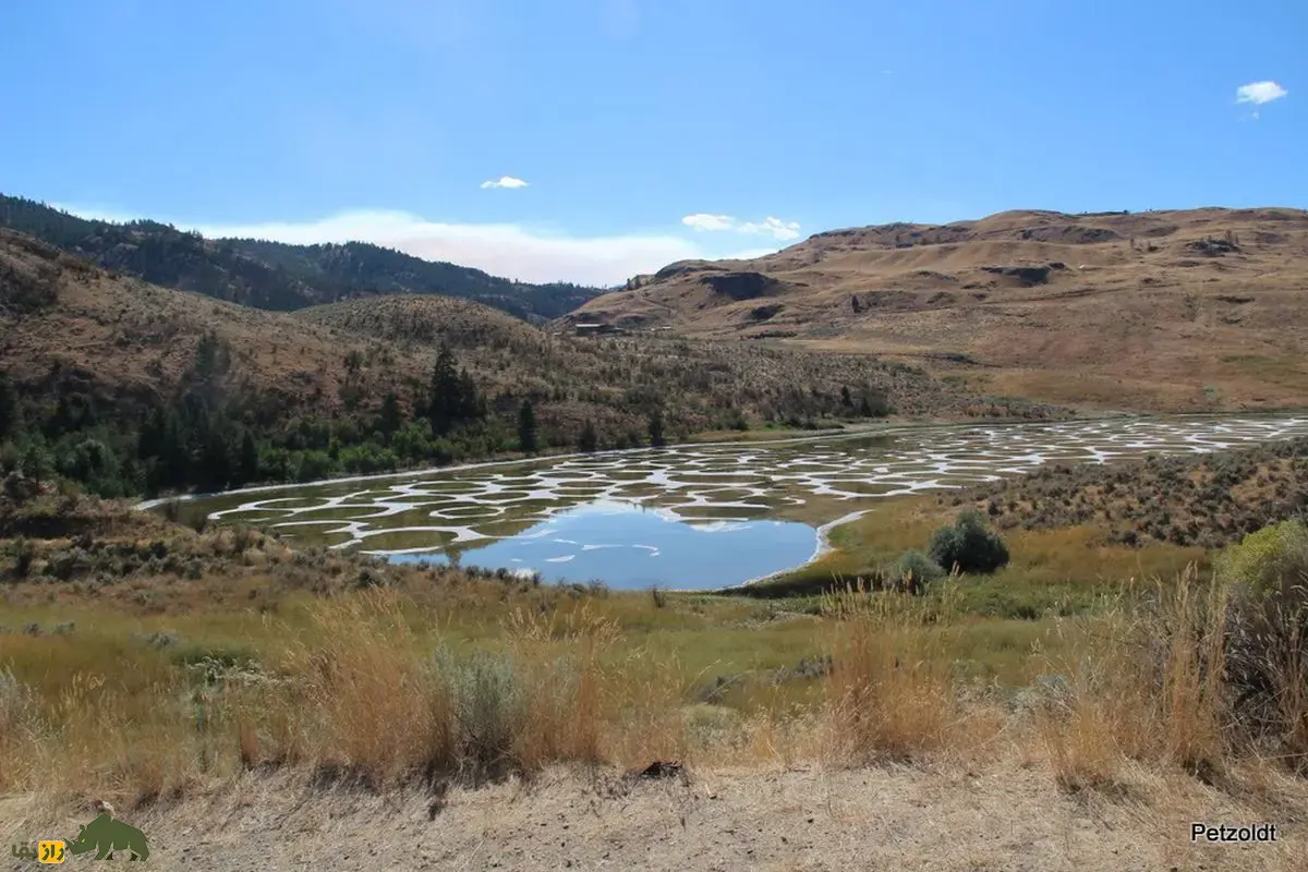 دریاچه خال‌دار کانادا؛ شگفتی رنگارنگ و لزج طبیعت با حوضچه‌های آبی، سبز و زرد که شبیه سفیده تخم‌مرغ است