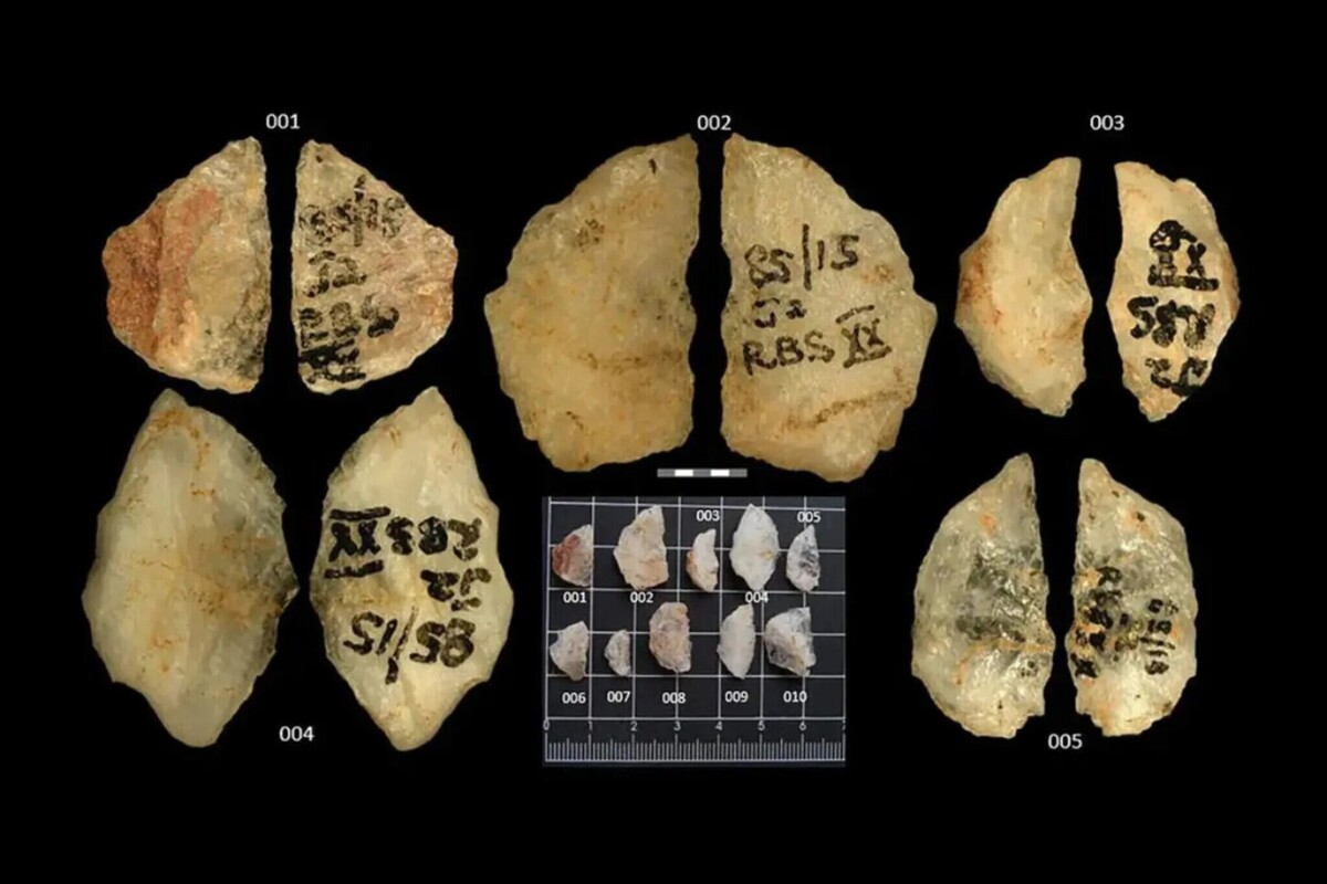 کشف قدیمی‌ترین تیر سمی تاریخ؛ ۶۰ هزار سال پیش انسان‌های اولیه از سم برای شکار استفاده می‌کردند!
