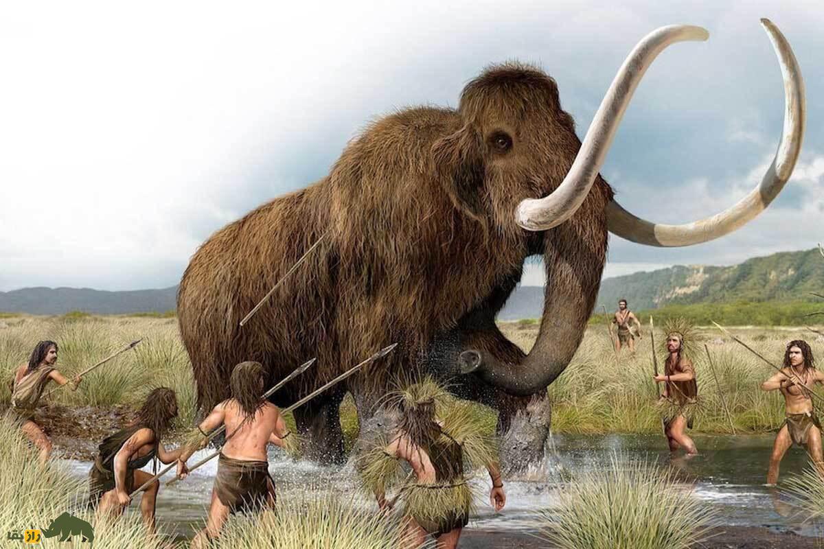 وقتی اروپا و ایران پر از فیل بود؛ آیا انسانهای اولیه و نئاندرتالها همزمان با ماموتهای غولپیکر زندگی میکردند؟ وقتی اروپا و ایران پر از فیل بود؛ آیا انسانهای اولیه و نئاندرتالها همزمان با ماموتهای غولپیکر زندگی میکردند؟