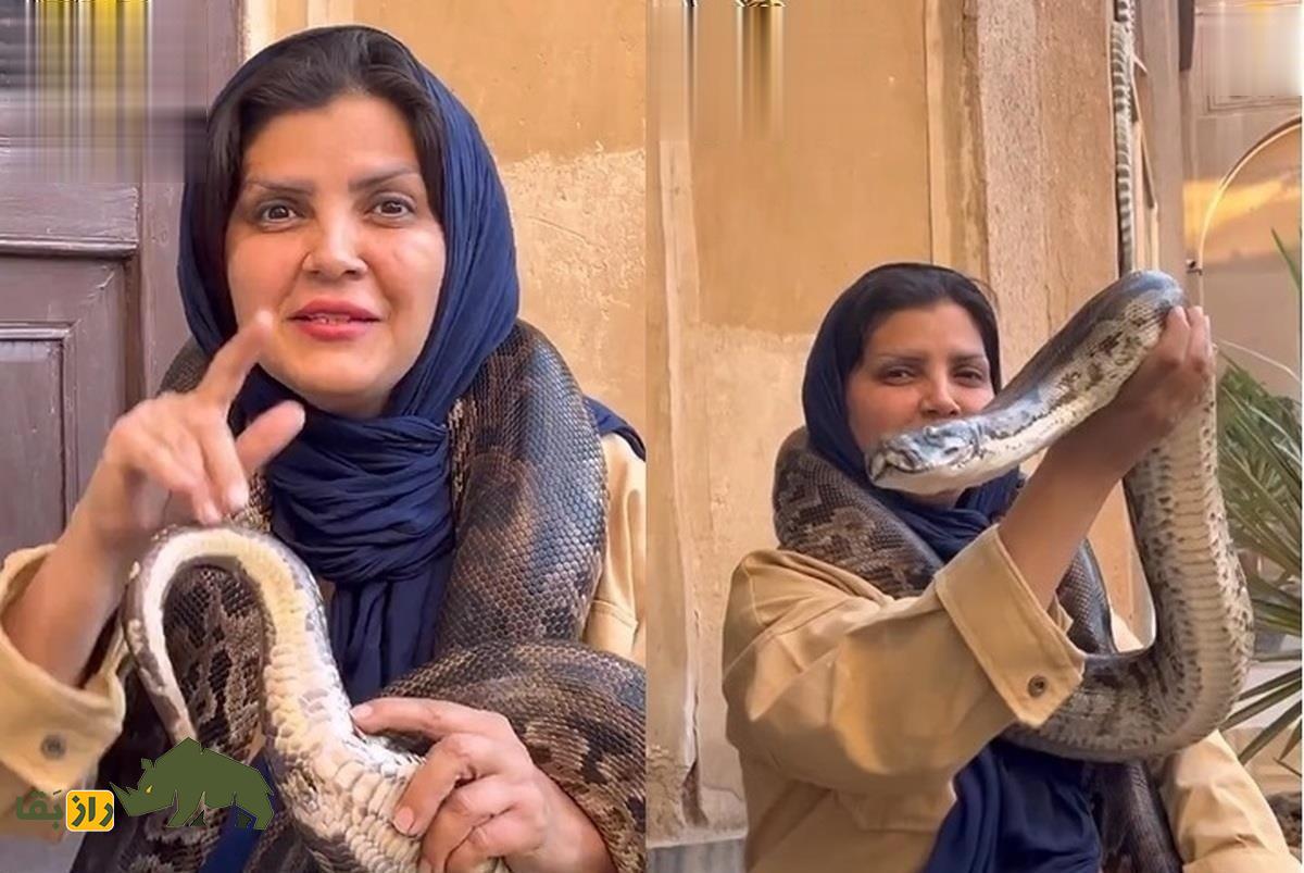 فاطمه نیکوروش