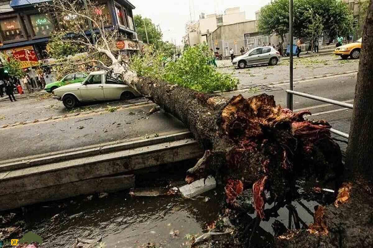 چرا در فصل بهار، به‌ویژه اردیبهشت ماه، در ایران طوفان می‌آید؟