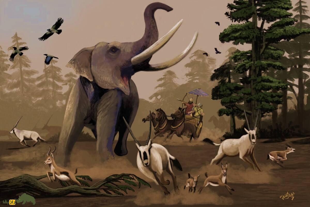 راز فیل‌های منقرض‌شده ایران باستان در شوش و خوزستان؛ فیل سوری تا فیل‌های پلیستوسن