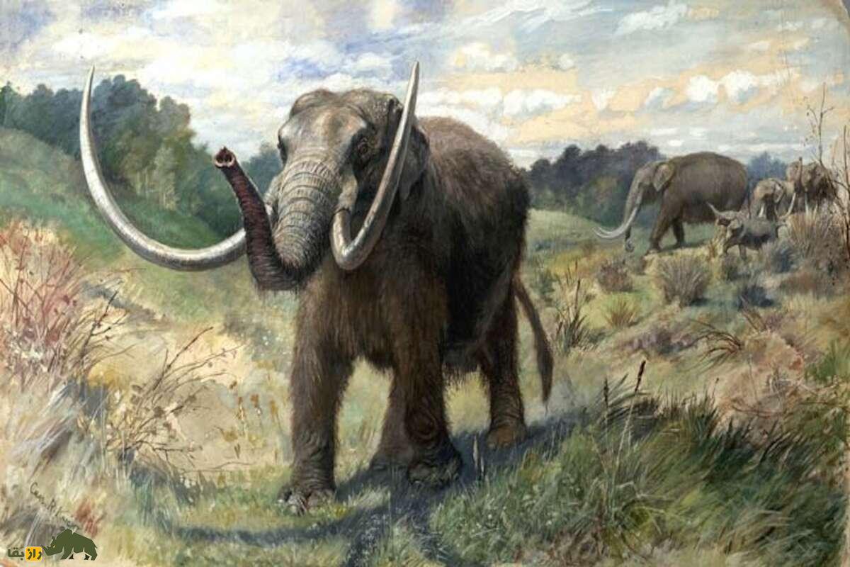 راز فیل‌های منقرض‌شده ایران باستان در شوش و خوزستان؛ فیل سوری تا فیل‌های پلیستوسن