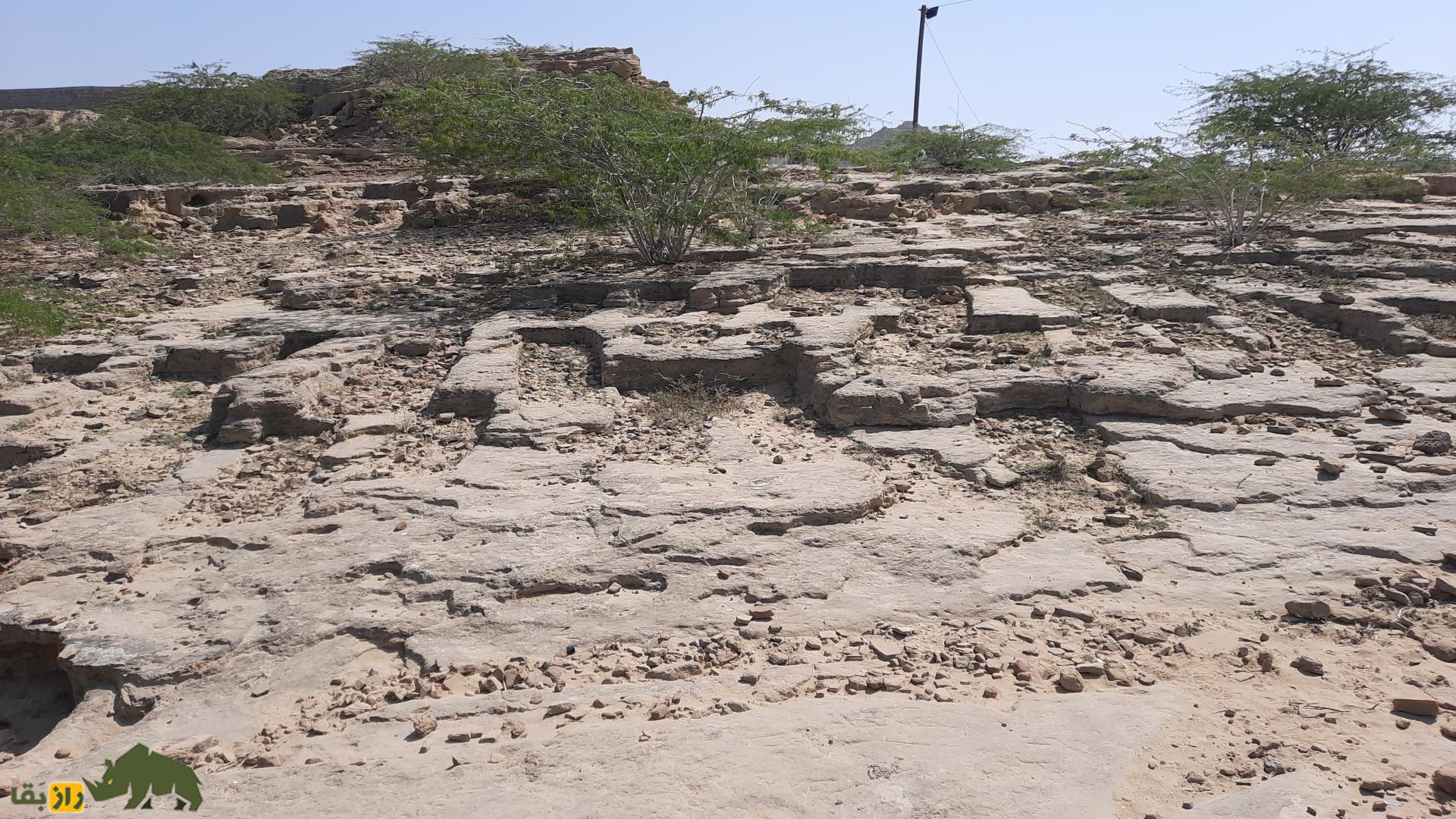 قبرستان جن‌ها