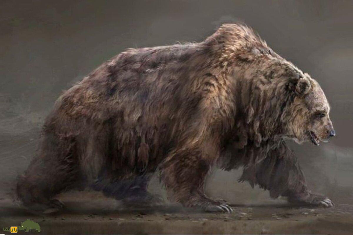 خرس غارنشین؛ غول گیلانی که هزاران سال پیش در غارهای ایران زندگی می‌کرد!