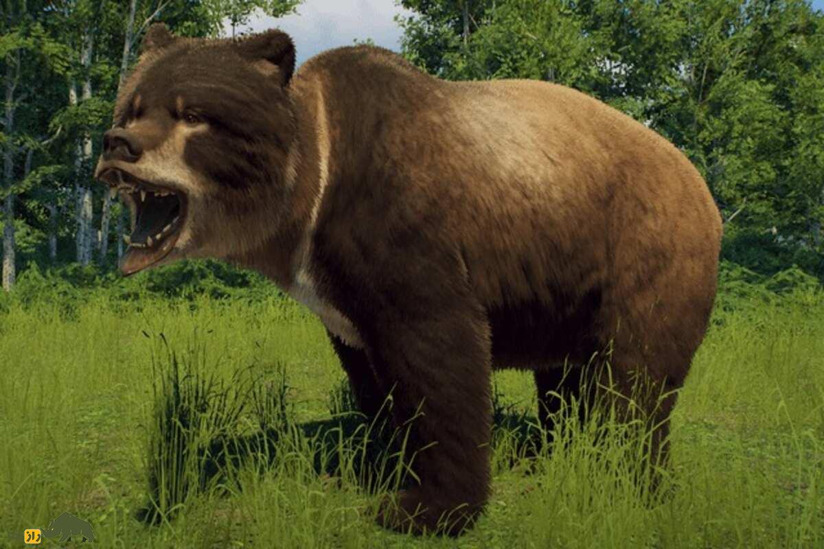 خرس غارنشین؛ غول گیلانی که هزاران سال پیش در غارهای ایران زندگی می‌کرد!