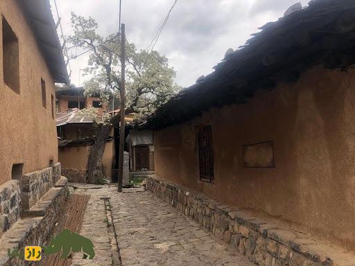 مینا و پلنگ؛ داستان پلنگ مازندران و دختری با چشمهای یاقوتی در کندلوس که عاشق یکدیگر شدند مینا و پلنگ