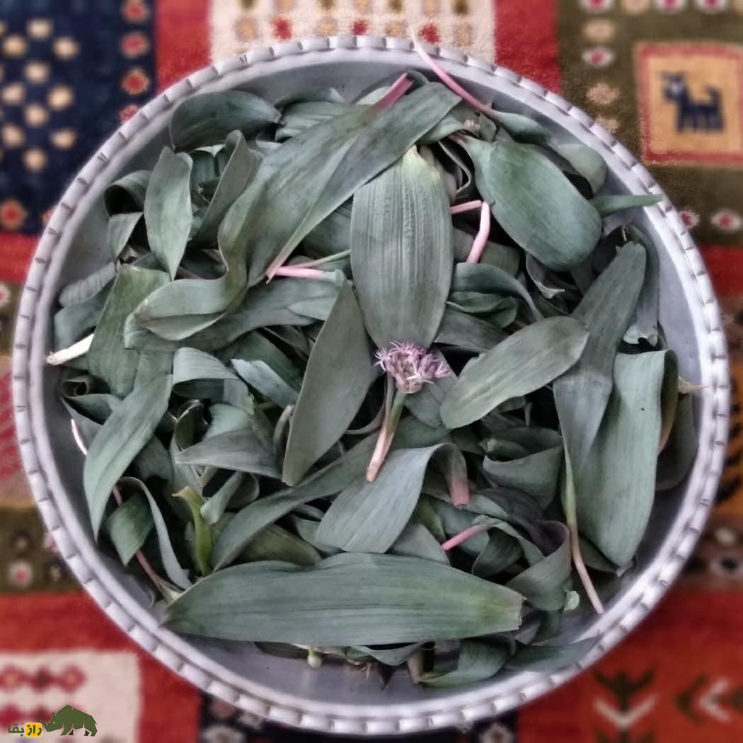 والِک؛ سبزی کمیاب مخصوص شمال تهران که نفخ را از بین میبرد و غذای خوشمزه والکپلو از آن تهیه میشود. والِک شمرون