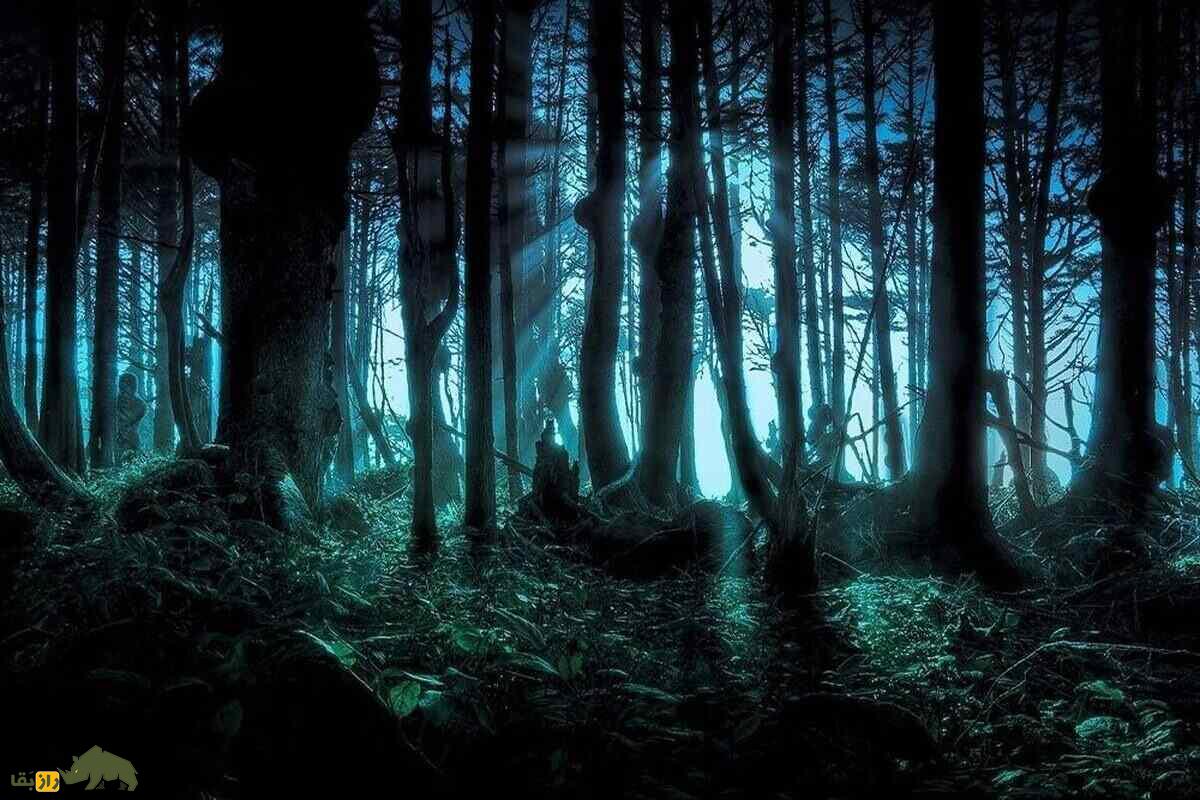 جنگل جیغ مشهد