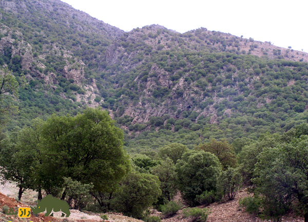 گورستان کولی ایلام؛ گورستانی مخوف و پر رمز و راز و ترسناک که روحهای سرگردان آنجا حضور دارند گورستان کولی ایلام