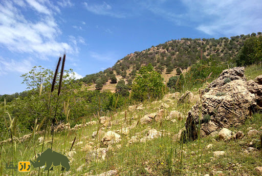 گورستان کولی ایلام؛ گورستانی مخوف و پر رمز و راز و ترسناک که روحهای سرگردان آنجا حضور دارند گورستان کولی ایلام؛ گورستانی مخوف و پر رمز و راز و ترسناک که روحهای سرگردان آنجا حضور دارند
