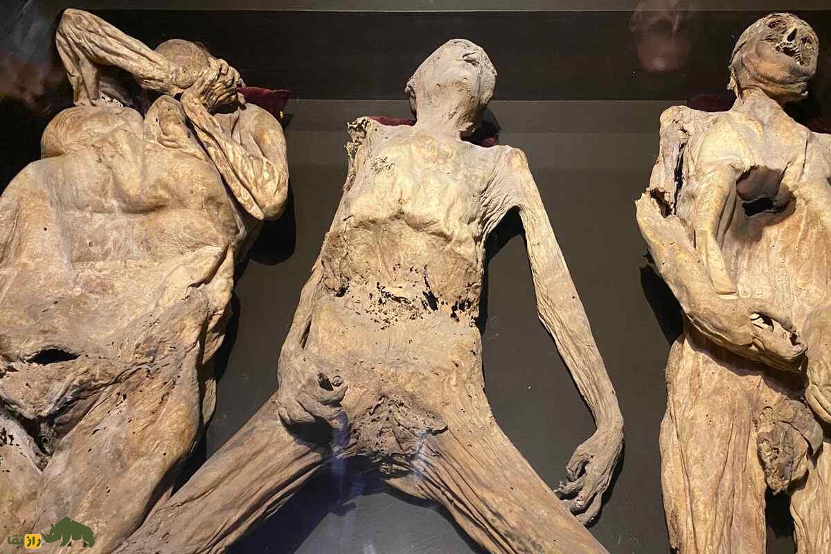 موزه مومیاییها در گواناخواتو؛ اجساد دفنشده زنده که بهطور طبیعی مومیایی شدند! موزه مومیاییها در گواناخواتو؛ اجساد دفنشده زنده که بهطور طبیعی مومیایی شدند!