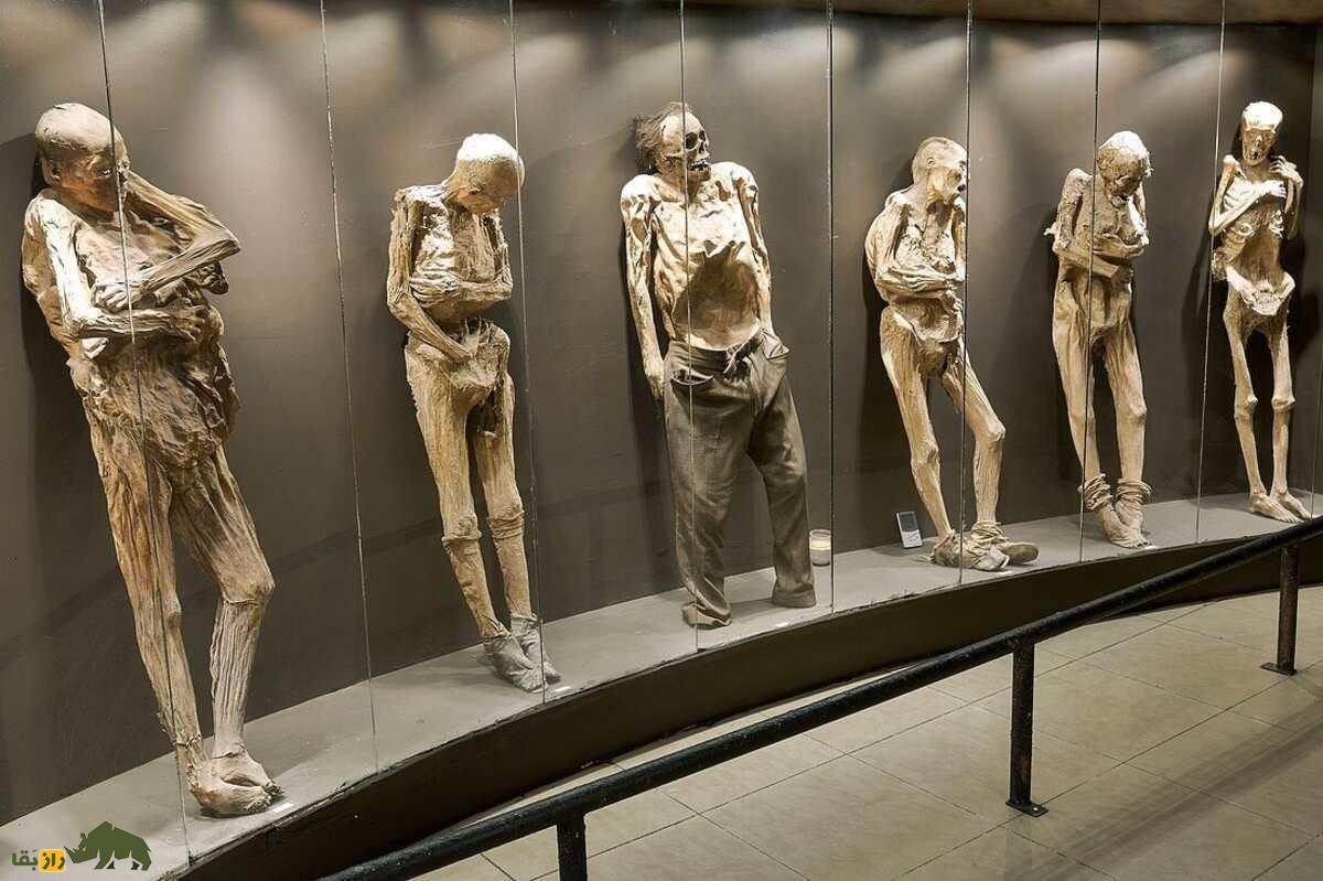 موزه مومیاییها در گواناخواتو؛ اجساد دفنشده زنده که بهطور طبیعی مومیایی شدند! موزه مومیاییها در گواناخواتو