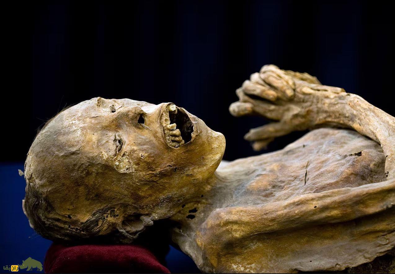 تصاویر 18+ از ترسناکترین موزه مومیایی جهان؛ انسانهایی که زنده زنده مومیایی شدند! تصاویر 18+ از ترسناکترین موزه مومیایی جهان؛ انسانهایی که زنده زنده مومیایی شدند!