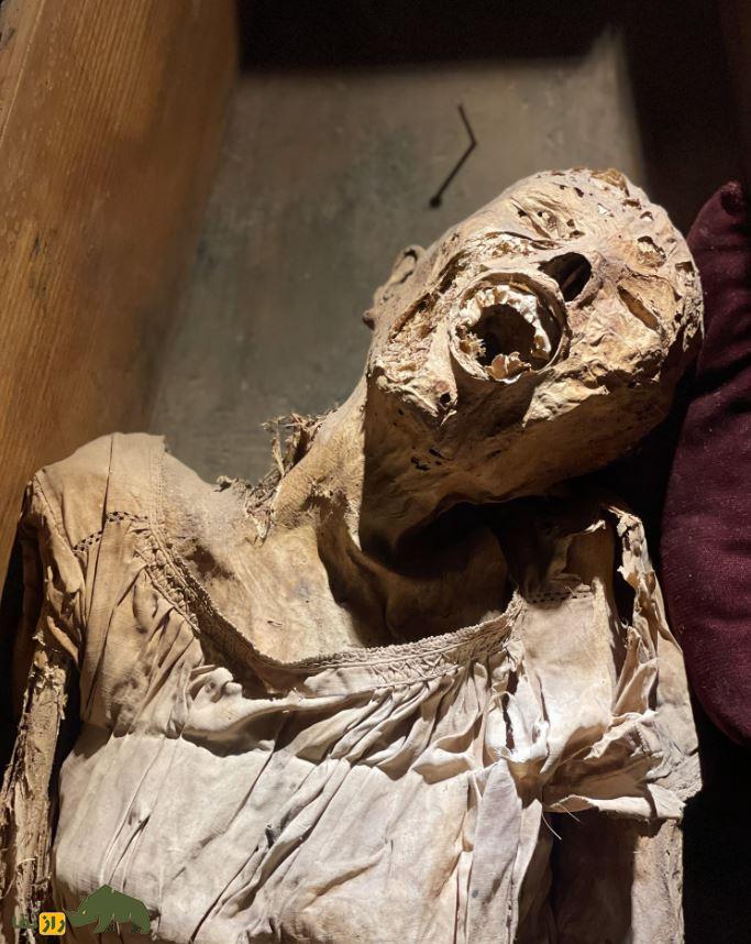 تصاویر 18+ از ترسناکترین موزه مومیایی جهان؛ انسانهایی که زنده زنده مومیایی شدند! موزه مومیایی جهان Museum of the Mummies of Guanajuato