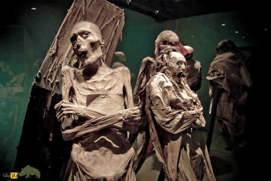 تصاویر 18+ از ترسناکترین موزه مومیایی جهان؛ انسانهایی که زنده زنده مومیایی شدند! تصاویر 18+ از ترسناکترین موزه مومیایی جهان؛ انسانهایی که زنده زنده مومیایی شدند!