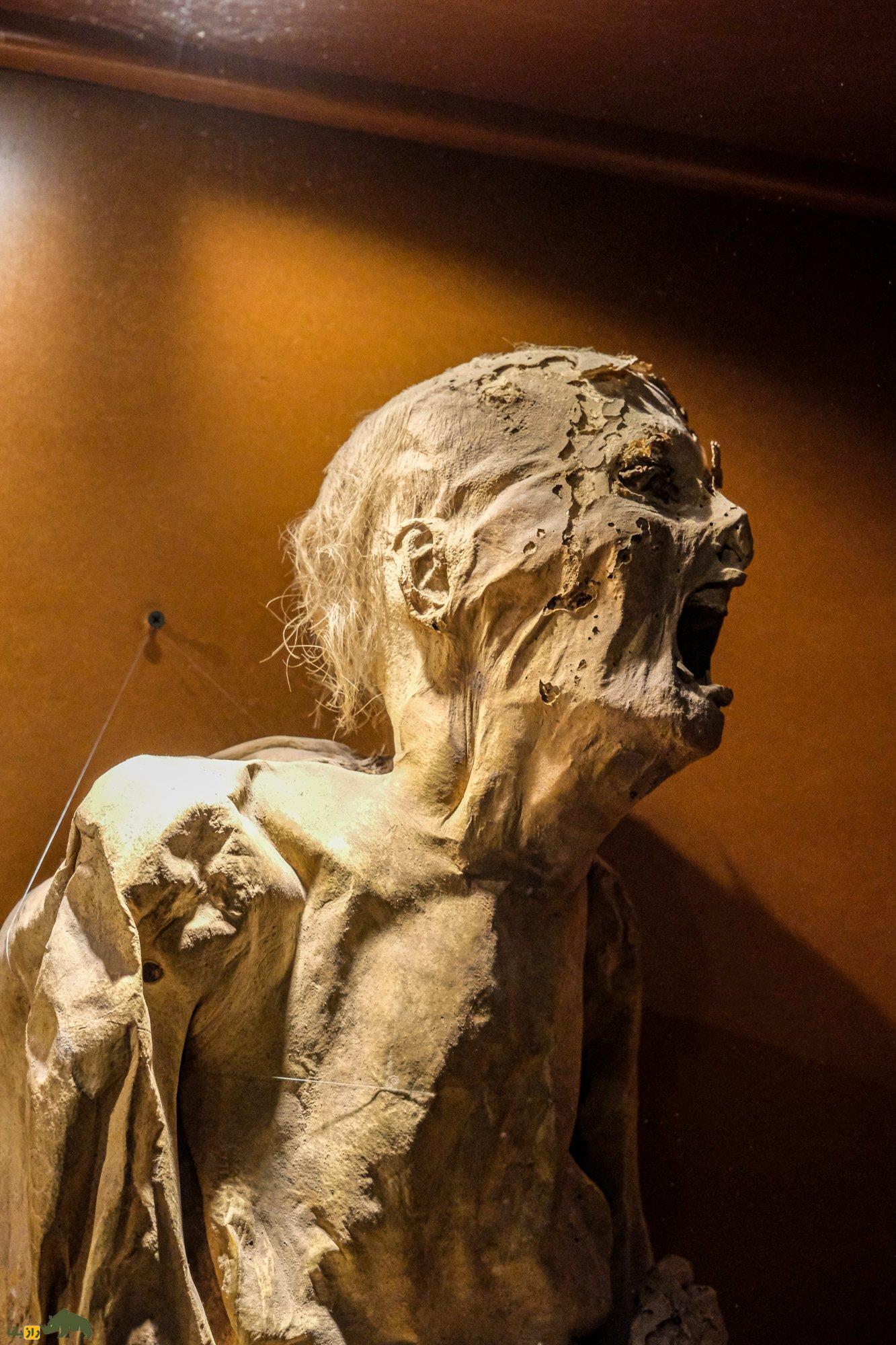 تصاویر 18+ از ترسناکترین موزه مومیایی جهان؛ انسانهایی که زنده زنده مومیایی شدند! تصاویر 18+ از ترسناکترین موزه مومیایی جهان؛ انسانهایی که زنده زنده مومیایی شدند!