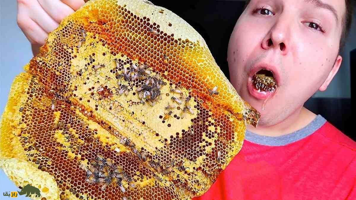 اگر ۱۰ زنبور را زنده زنده با هم قورت بدهیم چه میشود؟ زنبور عسل