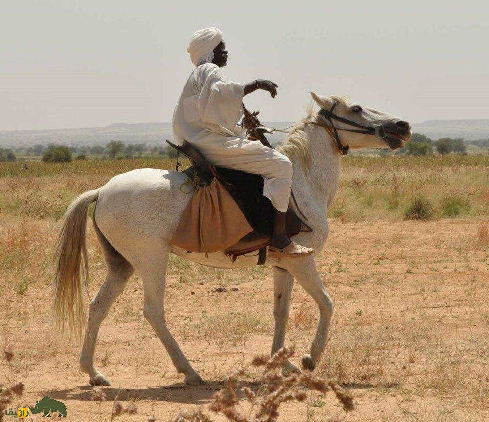 مرد سودانی سوار بر اسب در یک دشت خشک