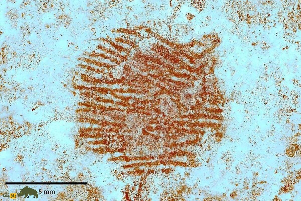 کشف جنجالی اثر انگشت یک نئاندرتال روی یک سنگ که تاریخ را تغییر خواهد داد!