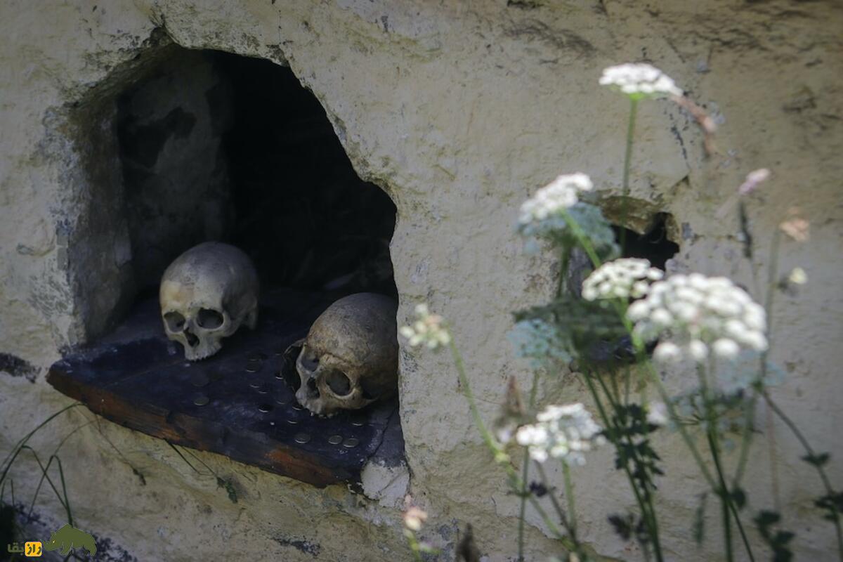 راز‌های شهر مردگان دارگاوس؛ گورستان باستانی اسرارآمیز با معماری منحصر‌به‌فرد که کسی جرات ورود به آن را ندارد!