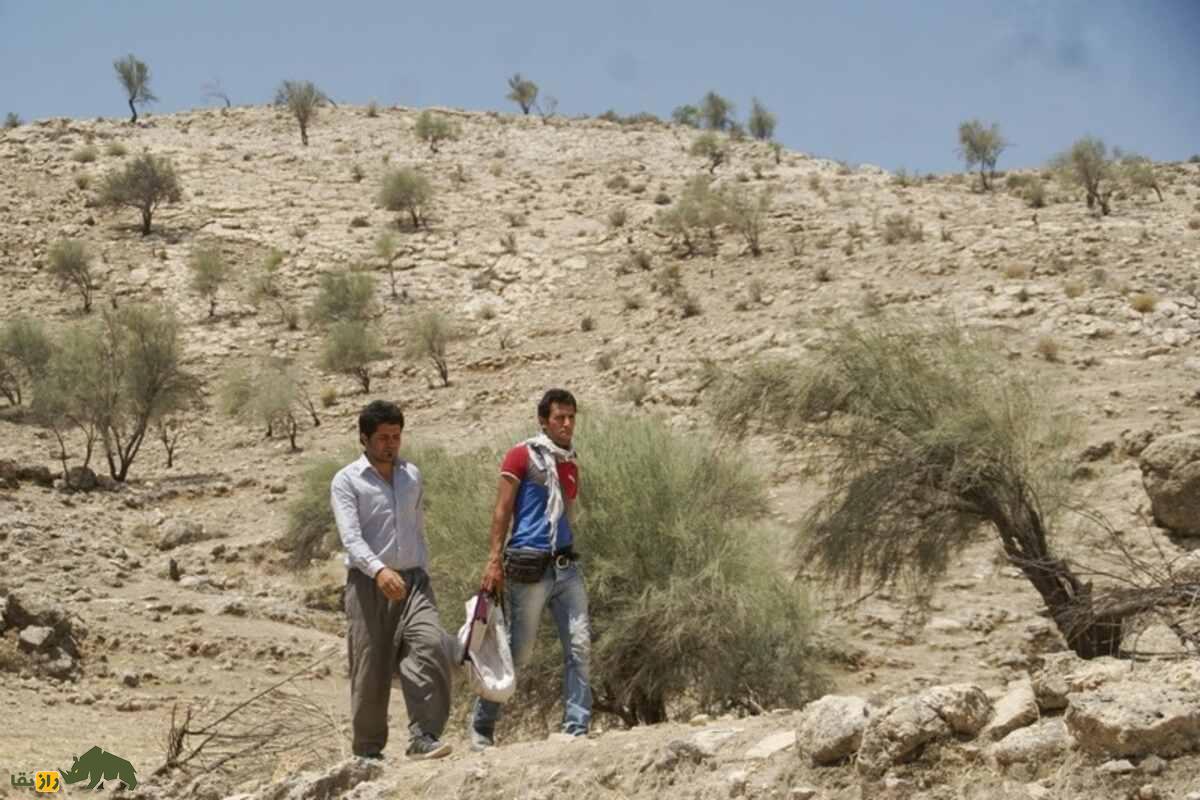 الوک؛ میوهای تلخ و خاص با خواص دارویی که بهترین جایگزین آجیلهای معمولی است الوک؛ میوهای تلخ و خاص با خواص دارویی که بهترین جایگزین آجیلهای معمولی است