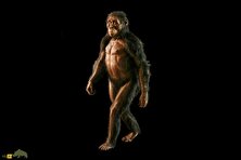 لوسی؛ فسیل شگفت‌انگیز ۳.۲ میلیون ساله که راز‌های تکامل انسان را فاش کرد و تاریخ را تغییر داد