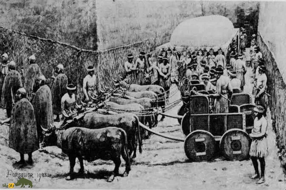 گودال بزرگ مرگ اور؛ یکی از بزرگترین قبرستانهای سلطنتی تمدن سومر در عراق گودال بزرگ مرگ اور؛ یکی از بزرگترین قبرستانهای سلطنتی تمدن سومر در عراق