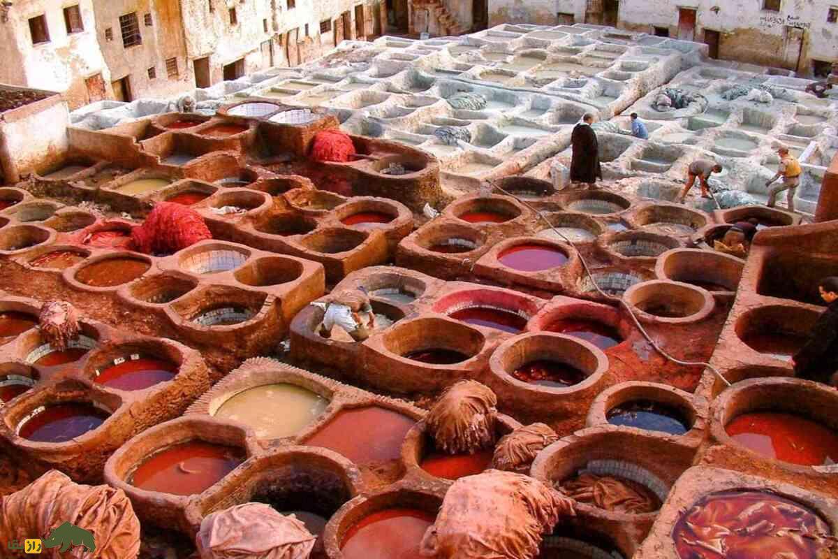چرم فاس؛ بهترین چرم دنیا که با فضله کبوتر درست میشود چرم فاس؛ بهترین چرم دنیا که با فضله کبوتر درست میشود