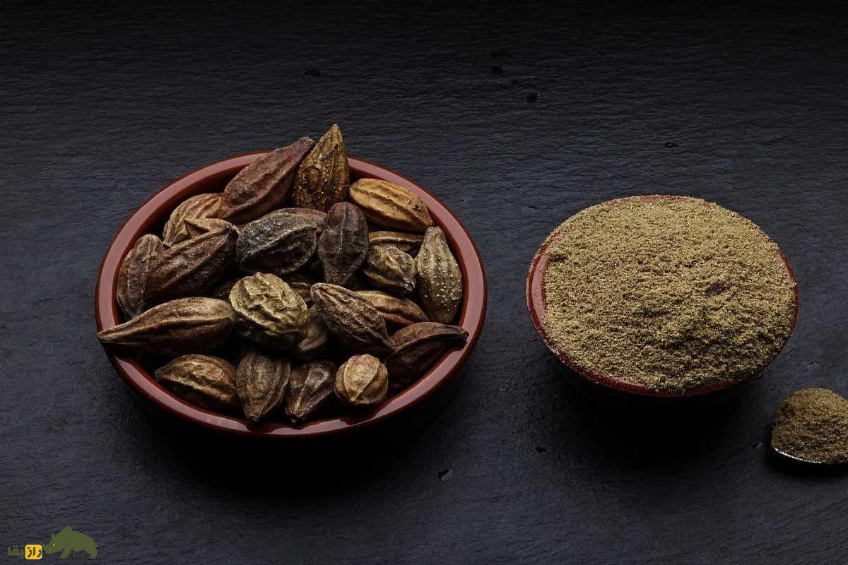 اهلیلج یا هلیله کابلی؛ گیاهی شفابخش برای درمان یبوست، تقویت چشم و تصفیه خون در طب سنتی ایران اهلیلج یا هلیله کابلی؛ گیاهی شفابخش برای درمان یبوست، تقویت چشم و تصفیه خون در طب سنتی ایران