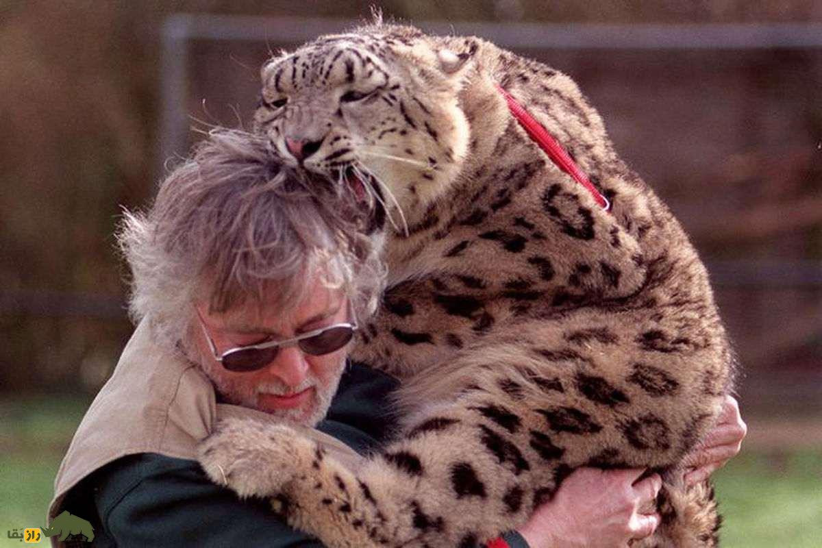 تری مور، Tiger King اروپا؛ خانهای که در آن لاشههای یوزپلنگها در فریزر وحشتناک پنهان بود تری مور، Tiger King اروپا؛ خانهای که در آن لاشههای یوزپلنگها در فریزر وحشتناک پنهان بود