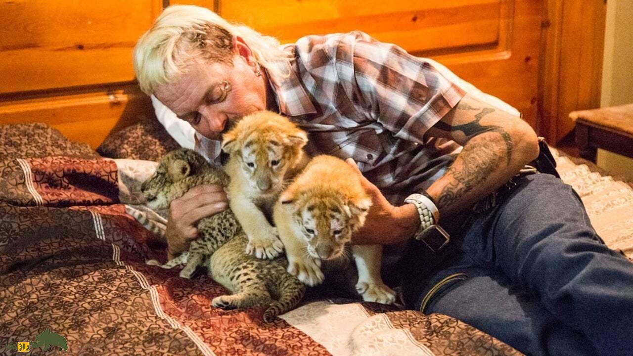 تری مور، Tiger King اروپا؛ خانهای که در آن لاشههای یوزپلنگها در فریزر وحشتناک پنهان بود تری مور، Tiger King