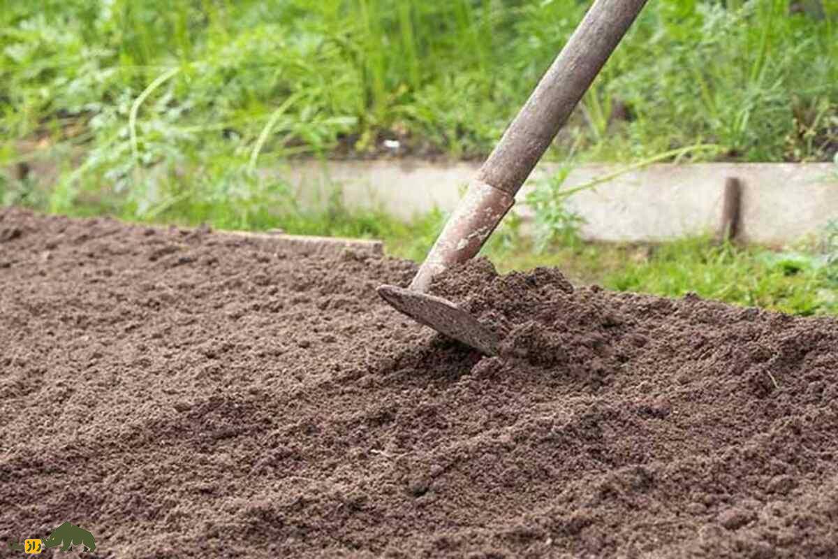 کشت کُرتاچ؛ ابتکار کشاورزان کهگیلویه برای سبزیکاری در دل خاکهای فقیر و شور جنوب غرب ایران کشت کُرتاچ؛ ابتکار کشاورزان کهگیلویه برای سبزیکاری در دل خاکهای فقیر و شور جنوب غرب ایران