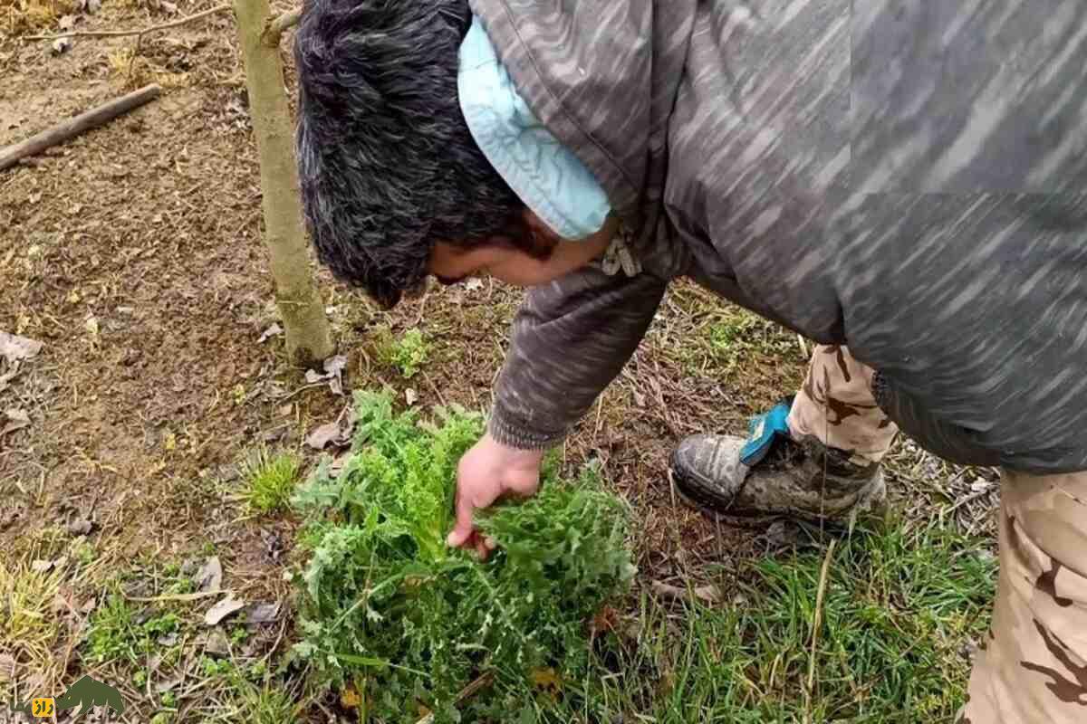 کشت کُرتاچ؛ ابتکار کشاورزان کهگیلویه برای سبزیکاری در دل خاکهای فقیر و شور جنوب غرب ایران کشت کُرتاچ؛ ابتکار کشاورزان کهگیلویه برای سبزیکاری در دل خاکهای فقیر و شور جنوب غرب ایران