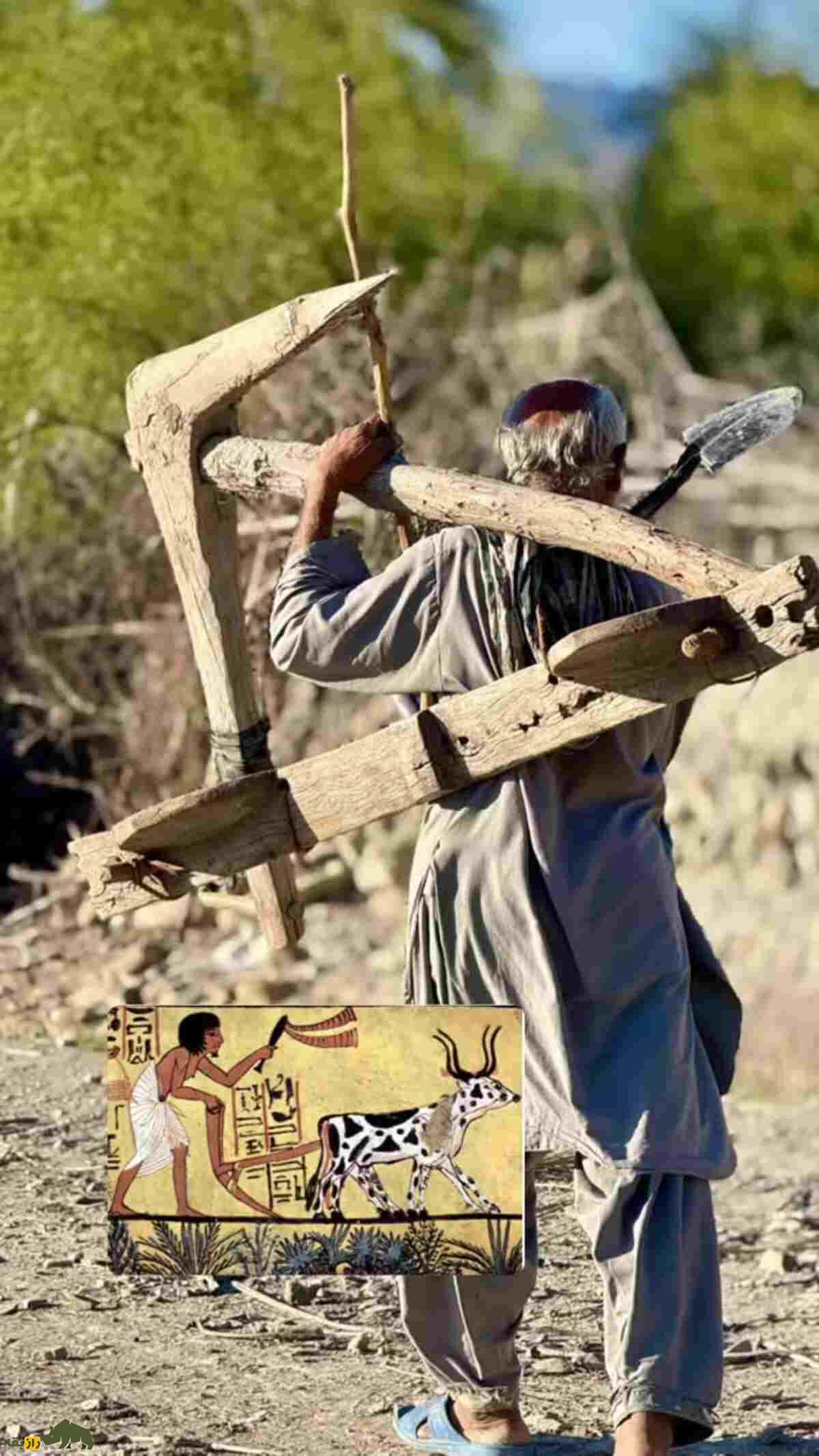 گاوآهن چوبی بلوچها؛ ابزار کمهزینه کشاورزی سنتی که هنوز در دل کویر بلوچستان زمین را زنده میکند گاوآهن چوبی بلوچها؛ ابزار کمهزینه کشاورزی سنتی که هنوز در دل کویر بلوچستان زمین را زنده میکند