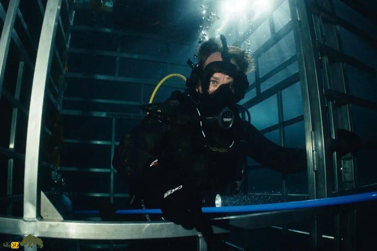 ماکوی سیاه؛ کشف کوسه‌ای تیره‌رنگ با ویژگی‌های غیرعادی که دانشمندان را حیرت‌زده کرد