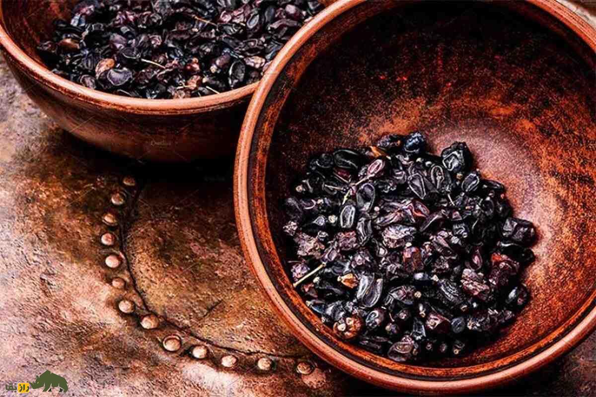 زرشک سیاه؛ گنجینه گم‌شده خراسان که از زعفران هم نایاب‌تر است