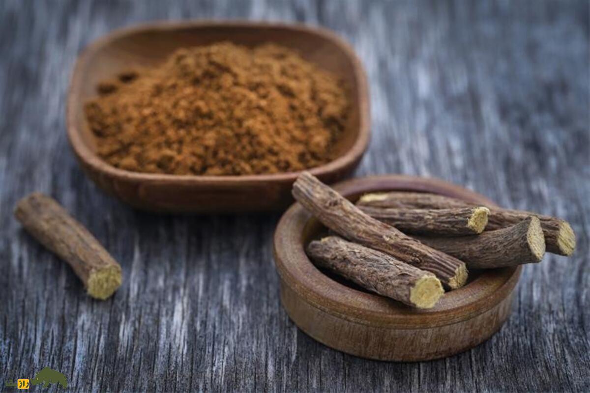 چوبک ایرانی؛ گونه‌ای از چوبک که تنها در ایران رشد می‌کند و با ریشه‌اش صابون طبیعی می‌سازنند