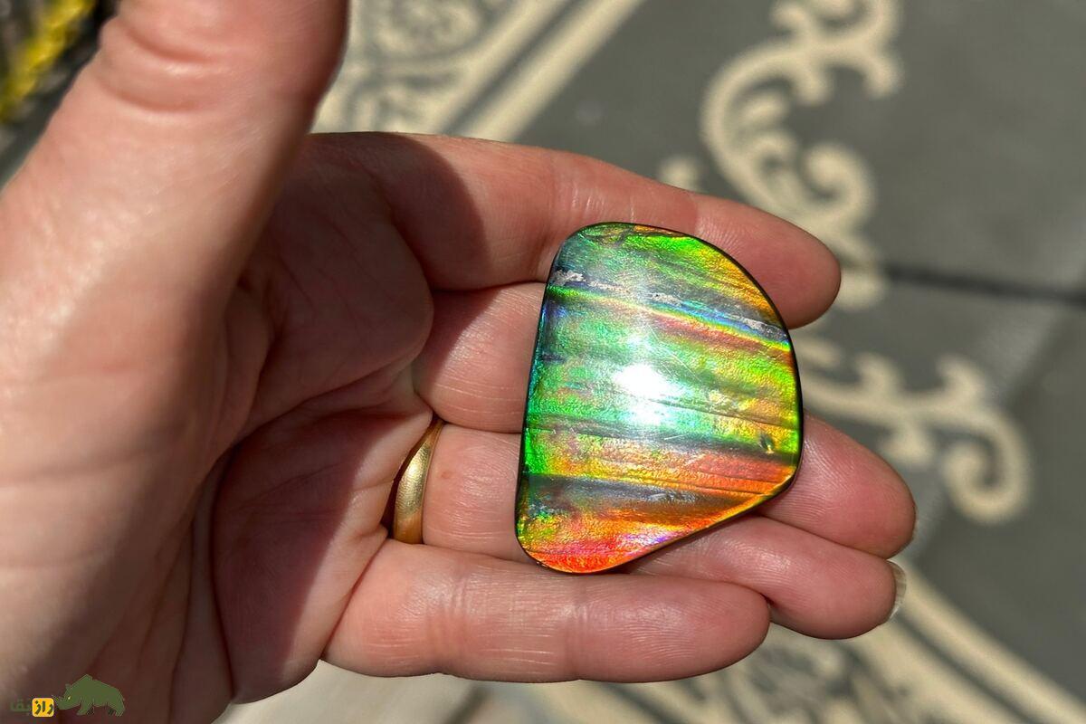 آمولیت؛ کشف نادرترین سنگ قیمتی جهان با منشأ فسیلی، رنگینکمانی و ارزش میلیونی آمولیت؛ کشف نادرترین سنگ قیمتی جهان با منشأ فسیلی، رنگینکمانی و ارزش میلیونی