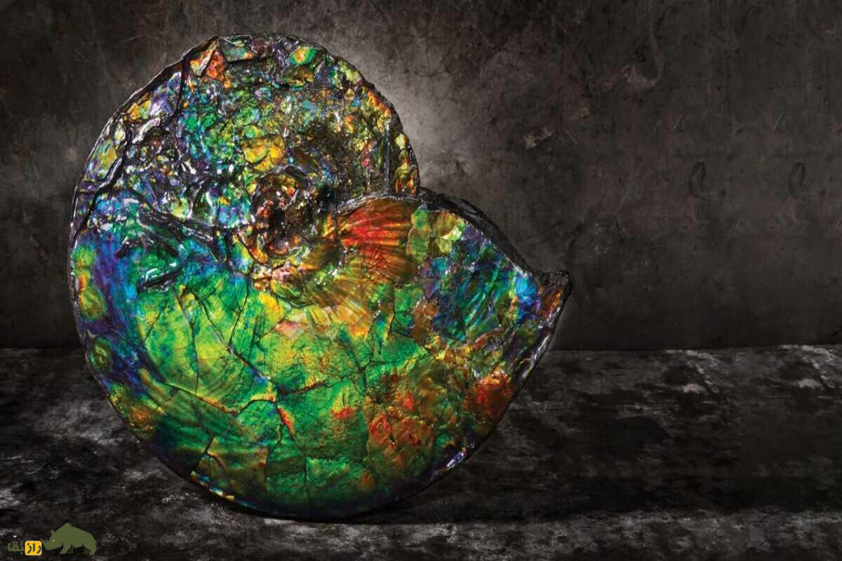 آمولیت؛ کشف نادرترین سنگ قیمتی جهان با منشأ فسیلی، رنگینکمانی و ارزش میلیونی آمولیت؛ کشف نادرترین سنگ قیمتی جهان با منشأ فسیلی، رنگینکمانی و ارزش میلیونی