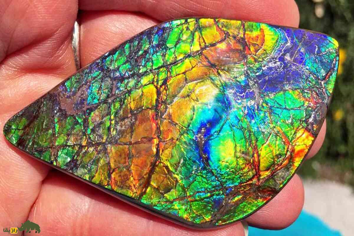 آمولیت؛ کشف نادرترین سنگ قیمتی جهان با منشأ فسیلی، رنگینکمانی و ارزش میلیونی آمولیت؛ کشف نادرترین سنگ قیمتی جهان با منشأ فسیلی، رنگینکمانی و ارزش میلیونی