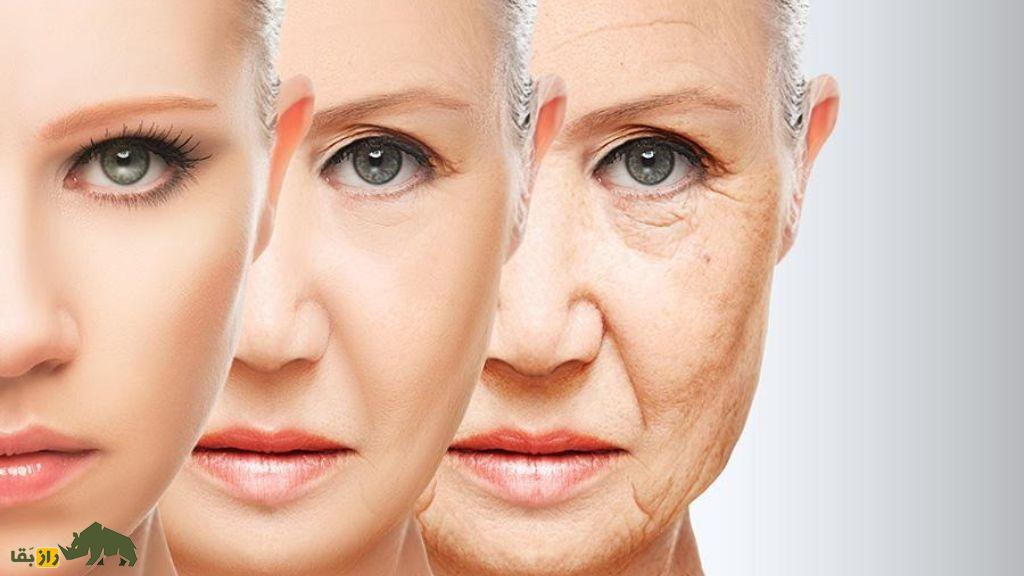 پیری چیست و چه اتفاقاتی در بدن با افزایش سن رخ میدهد؟ پیری چیست و چه اتفاقاتی در بدن با افزایش سن رخ میدهد؟
