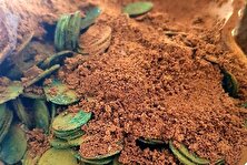 عکس | کشف ۱۰۰۰ سکه قدیمی از یک کوزه ۴۰۰ ساله توسط مردی که به دنبال قطعه گمشده تراکتور می‌گشت!